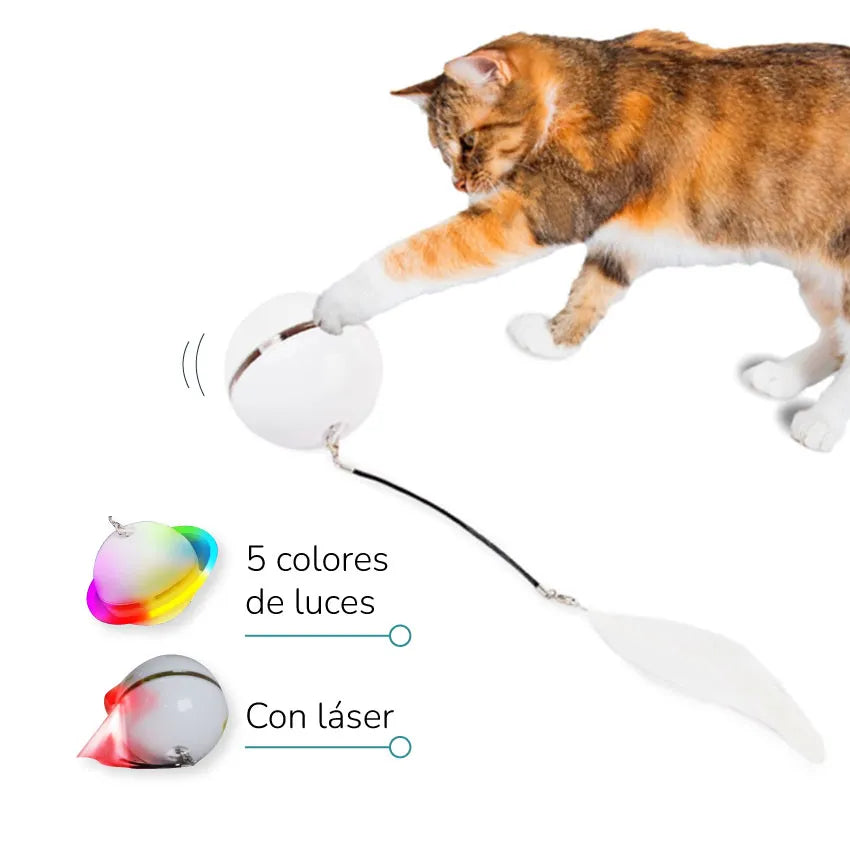 Kitty Ball - Bola inteligente