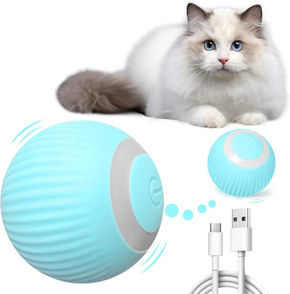 Kitty Ball - Bola inteligente
