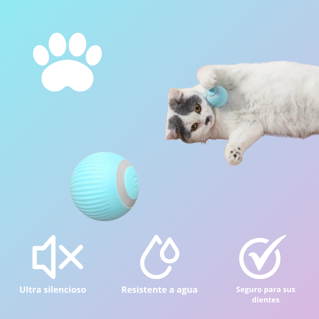 Kitty Ball - Bola inteligente