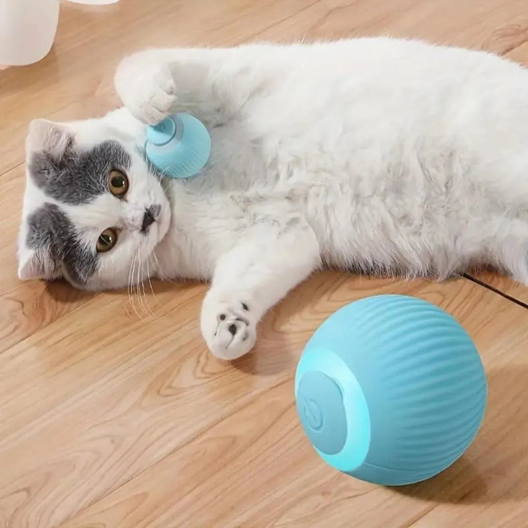 Kitty Ball - Bola inteligente